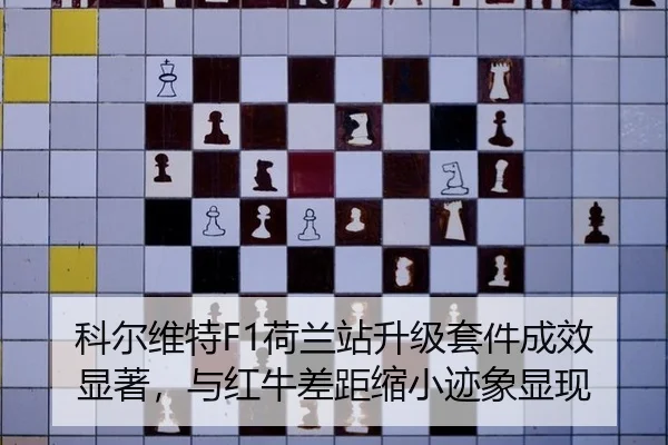 ke-er-wei-te-he-lan-zhan-sheng-ji-tao-jian-cheng-xiao-xian-zhu-yu-hong-niu-cha-ju-suo-xiao-ji-xiang-xian-xian-2-337.jpg