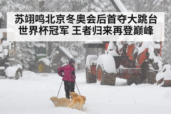 苏翊鸣北京冬奥会后首夺大跳台世界杯冠军 王者归来再登巅峰