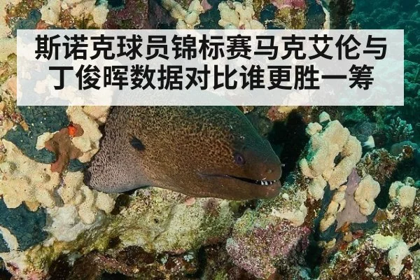 斯诺克球员锦标赛马克艾伦与丁俊晖数据对比谁更胜一筹