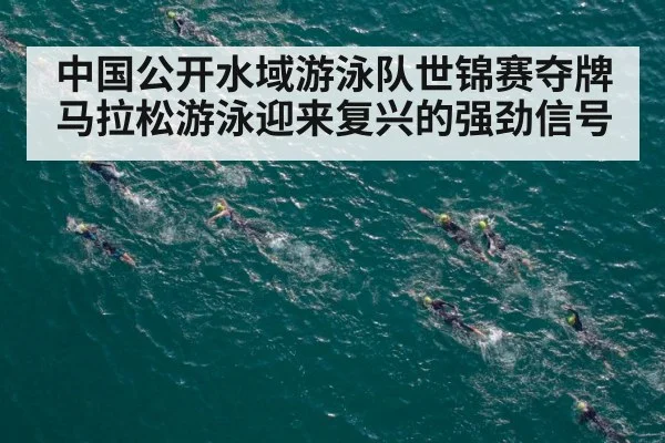 中国公开水域游泳队世锦赛夺牌 马拉松游泳迎来复兴的强劲信号